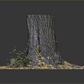 Wooden Tree Stump on Stone Platform with Fallen Leaves and Small Plants