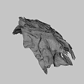 Animal Skull Specimen With Identification Number 2385 And Detailed Bone Structure