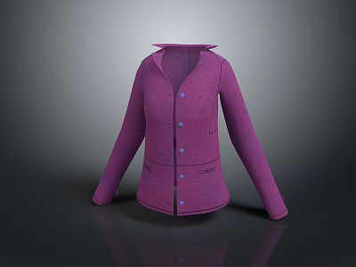 Fashionable Purple Long Sleeve Coat With Button Front And Collared Design 3d model