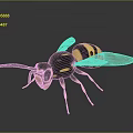3D Wasp Model With Black And Yellow Stripes Transparent Wings Yellow Legs On Gray Background
