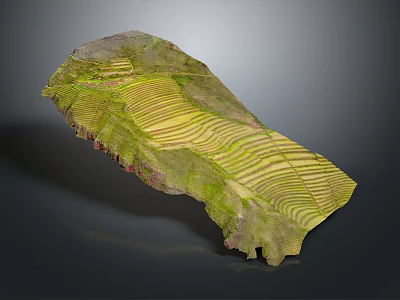3D Model of Green Terrace Fields with Layered Terrain Structure 3d model