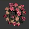 Fresh Pink And Orange Roses In Checkered Vase On Patterned Mat With Dark Background