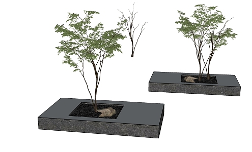 Landscape tree, courtyard tree, tree pool 3d model