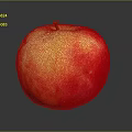 Fresh Ripe Red and Yellow Apple with Shiny Skin on Dark Background