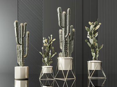 Cactus Potted Plants With White Geometric Planters And Metal Stands Against Dark Striped Wall 3d model
