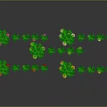 Colorful Plants With Green Leaves And Red Yellow Flowers Arranged On Dark Background