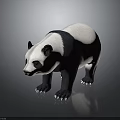 Cute Giant Panda With Black And White Fur Standing On Gray Reflective Background