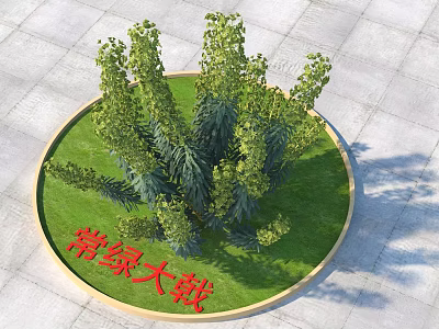 Evergreen Euphorbia Plants In Circular Green Lawn With Paved Ground Area 3d model