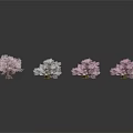 Multiple Pink and White Trees Arranged on Dark Background With Reflective Surfaces