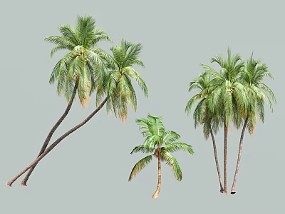 Palm Trees In Various Sizes With Green Fronds And Brown Trunks 3d model