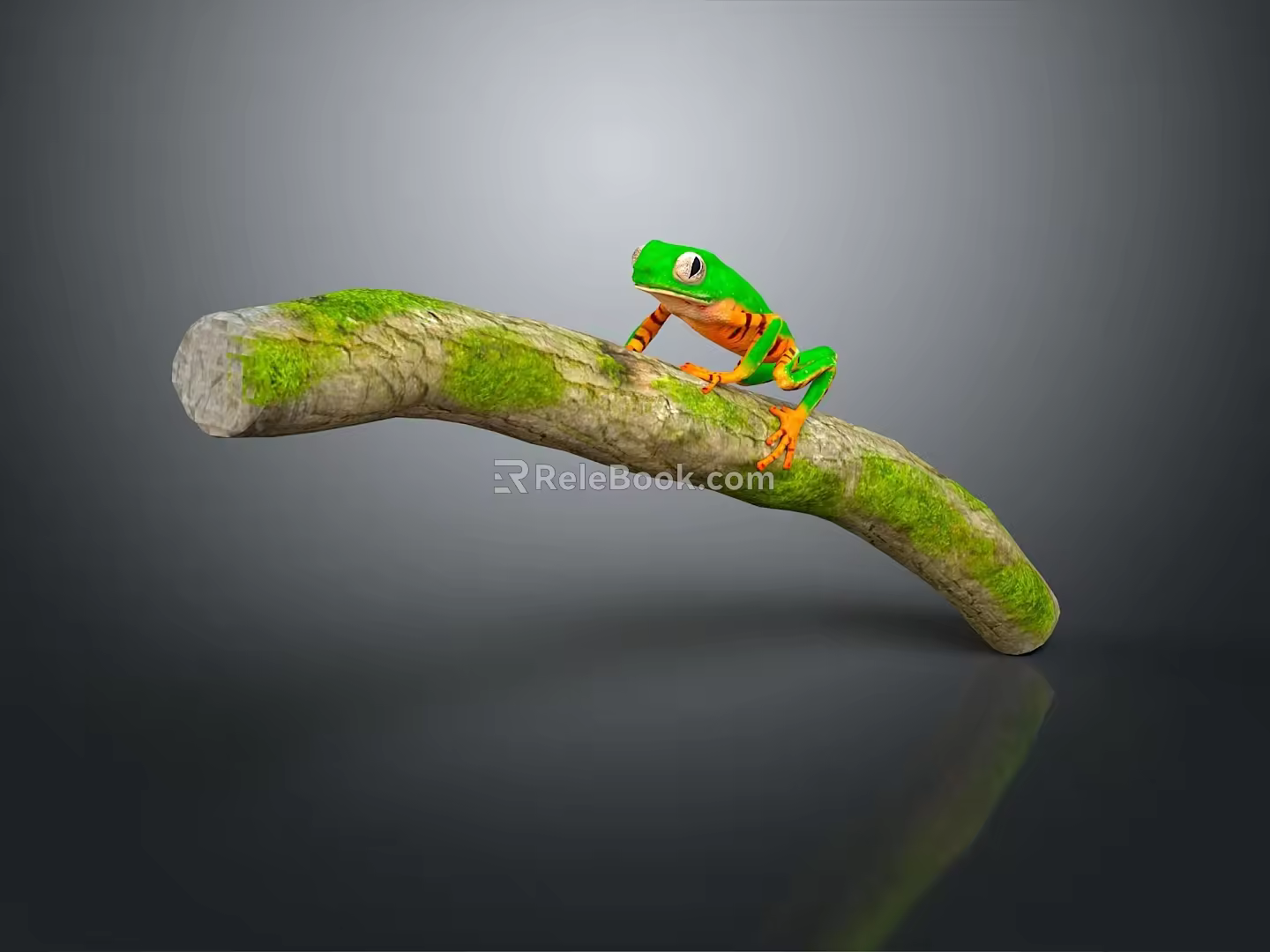 Frog Poison Frog Game Frog Reptile Cold Blooded Animal Reptile 3d model