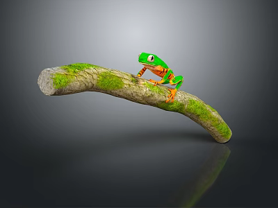 Green Reptile with Orange Legs Resting on Mossy Curved Log Against Gray Background with Reflection 3d model