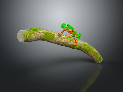 Frog Poison Frog Game Frog Reptile Cold Blooded Animal Reptile 3d model