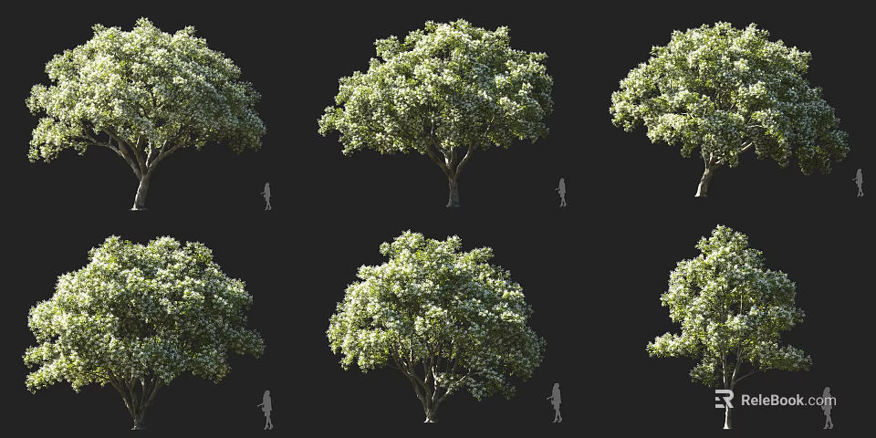 Lush Green Arbor Trees With Dense Foliage And Human Silhouettes For Scale 3d model 