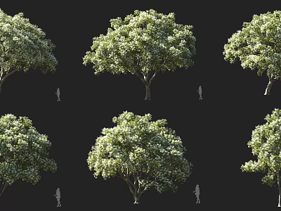 Lush Green Arbor Trees With Dense Foliage And Human Silhouettes For Scale 3d model