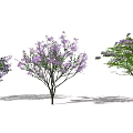 Lush Arbor With Purple Flowers Green Leaves And Branches In Bloom