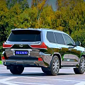 Shiny Black Lexus SUV Parked On Open Ground With Green Forest Background