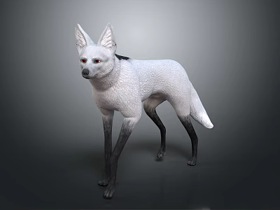 3D Model Of White Fur Fox With Large Ears Black Legs And Black Tail Tip 3d model