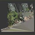 Natural Forest Ground Scene With Tree Stumps Covered In Green Moss And Fallen Leaves