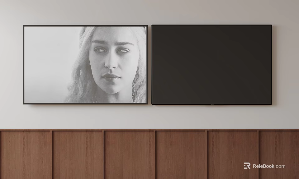 Two Modern Televisions Mounted On Wooden Wall One Displaying Image And The Other Black Screen 3d model 