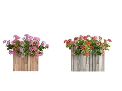 Lovely Garden Accents With Wooden Planters And Pink Red Blooming Flowers 3d model