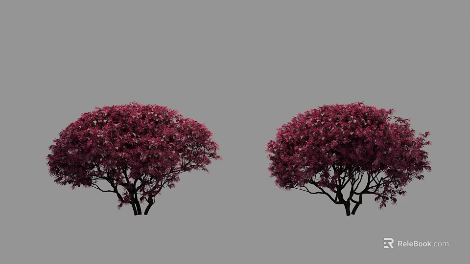 Vibrant Purple Flowering Bushes With Lush Foliage And Rounded Canopy Shape 3d model 