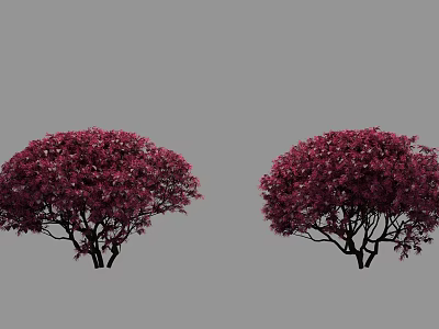 Vibrant Purple Flowering Bushes With Lush Foliage And Rounded Canopy Shape 3d model