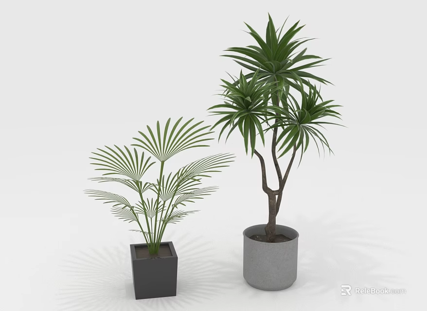 Fan Palm And Leafy House Plants In Black Square Gray Round Pots On White Background 3d model 