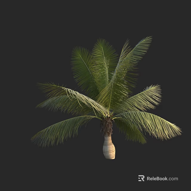 Green Leafy Palm Tree With Unique Vase Shaped Trunk And Lush Foliage 3d model 