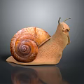 Snail With Spiral Brown Shell Light Brown Body And Antennae On Smooth Dark Surface