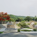 Serene Garden Landscape with Red Maple Tree Stone Steps Seating Area Pebbles and Greenery