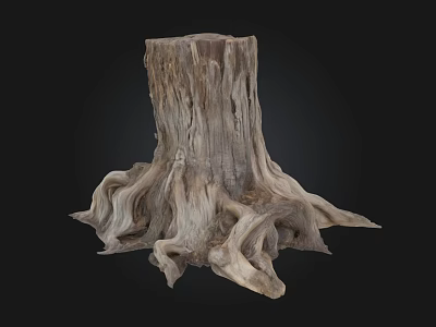 Old Tree Stump With Exposed Roots And Rough Texture Against Black Background 3d model