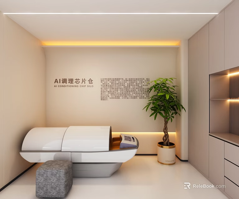 Modern AI Conditioning Light Chamber Interior With Potted Plant And Cabinetry 3d model 