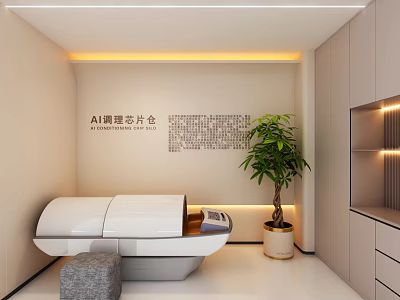 Modern AI Conditioning Light Chamber Interior With Potted Plant And Cabinetry 3d model