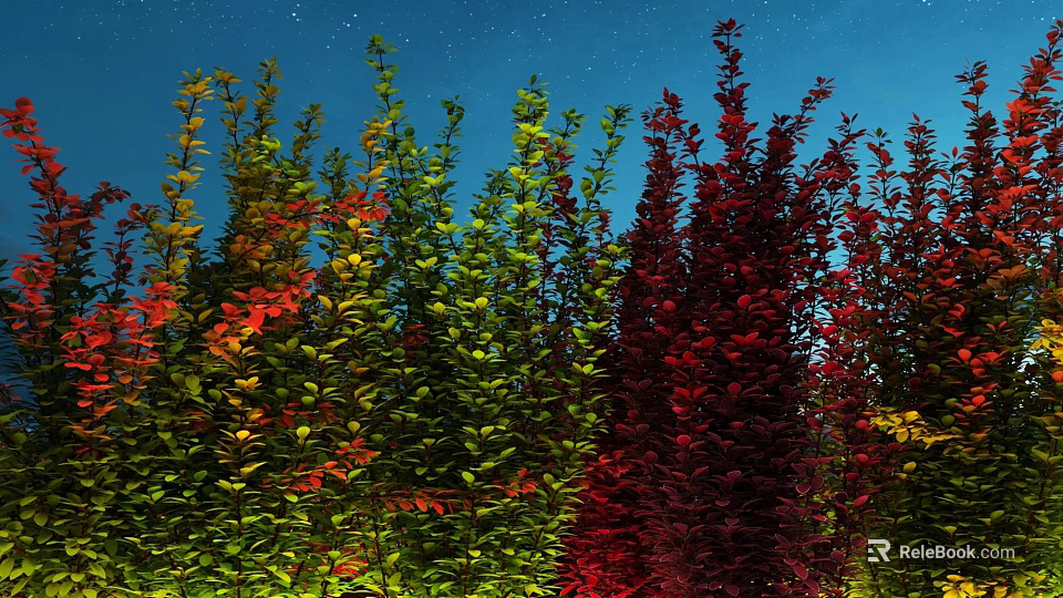 Colorful Shrubs With Vibrant Green Red And Yellow Leaves Against Night Sky 3d model 