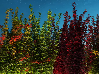 Colorful Shrubs With Vibrant Green Red And Yellow Leaves Against Night Sky 3d model