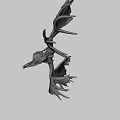 Large Moose Skull With Massive Antlers On Dark Background 3d model