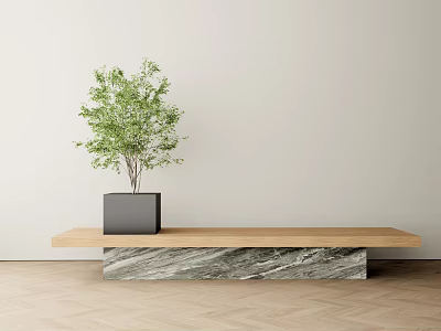 Wooden Bench With Marble Base Black Planter Green Plant In Light Wall Wooden Floor Room 3d model