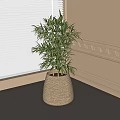 Potted Bonsai Plant with Lush Green Leaves in Woven Basket Pot on Window Sill