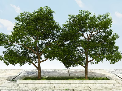 Lush Green Leaf Trees On Stone Slab Platform With Blue Sky And White Clouds 3d model