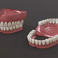 Dental Medical Devices Featuring Red Denture Bases And White Teeth Components 3d model