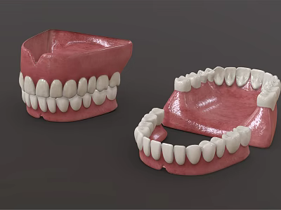 Dental Medical Devices Featuring Red Denture Bases And White Teeth Components 3d model