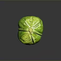 Fresh Organic Green Cabbage With Crisp Vibrant Leafy Layers On Dark Background