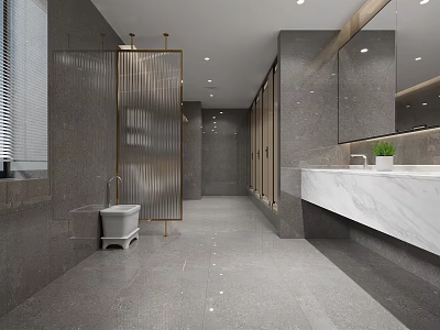 Modern Public Restroom Interior Design With Gray Walls Marble Countertop And Large Mirrors 3d model
