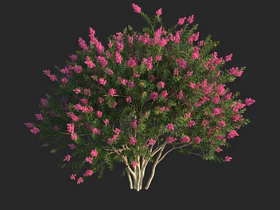 Lush Arbor With Pink Blossoms And Green Leaves In Full Bloom 3d model