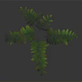 Lush Branching Foliage Plant with Green Leaves Yellow Edges and Shiny Texture on Dark Background