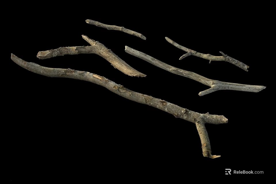 Natural Wooden Branches With Rough Texture And Organic Shapes On Black Background 3d model 