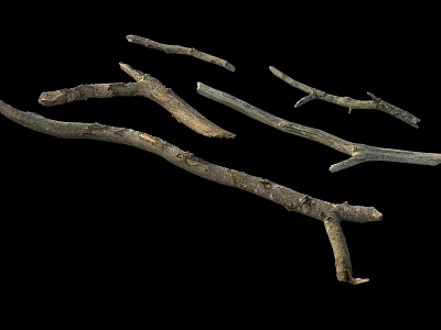 Natural Wooden Branches With Rough Texture And Organic Shapes On Black Background 3d model