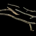 Natural Wooden Branches With Rough Texture And Organic Shapes On Black Background