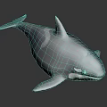 3D Shiny Blue Orca Model With Glossy Surface And Realistic Design